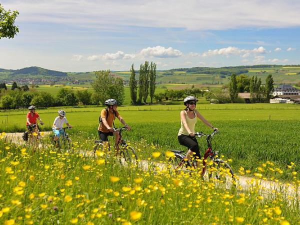 Radfahrer am Bodensee