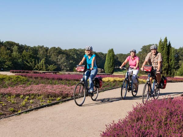 Radfahrer in der L�neburger Heide