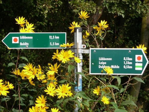 Gurkenradweg bei Lbbenau im Spreewald