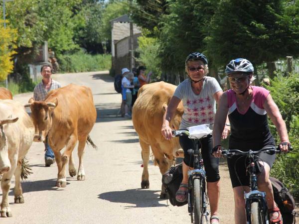 Radfahrer auf dem Jakobsweg