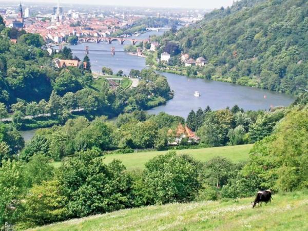 beautiful view to the Neckar