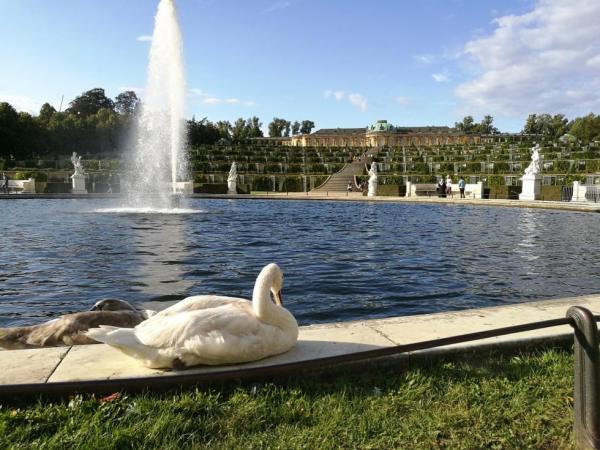 Schloss-Sanssouci