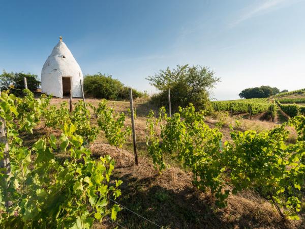 Trullo auf dem Adelberg bei Flonheim