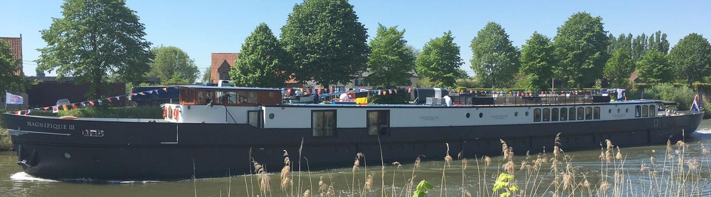 Schiff Magnifique III