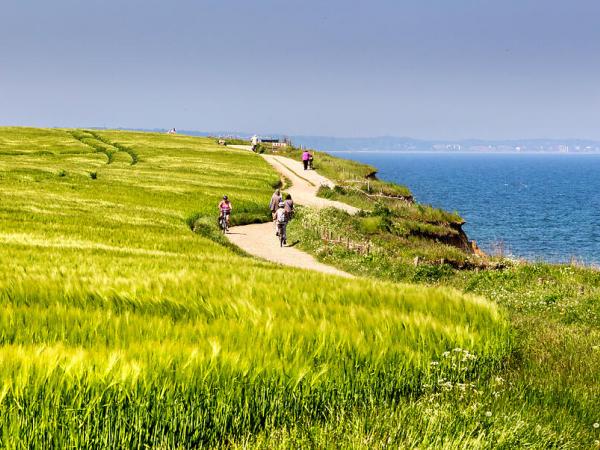 Radweg bei Travem�nde