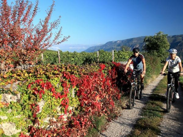 Radler entlang des Aare Radweges