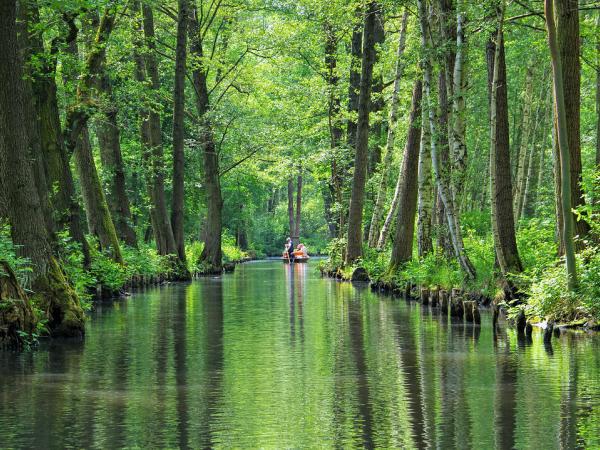 Gemtliche Kahnfahrt im Spreewald