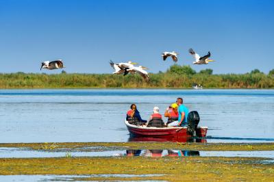 Tourist watching the Pelican Birds wildlife fauna in the Danube Delta