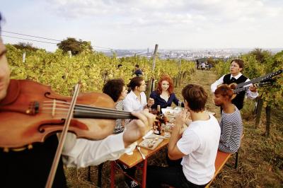 Vienna - vineyard on the Nussberg