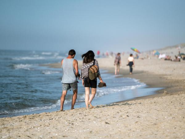 Beach on Texel island