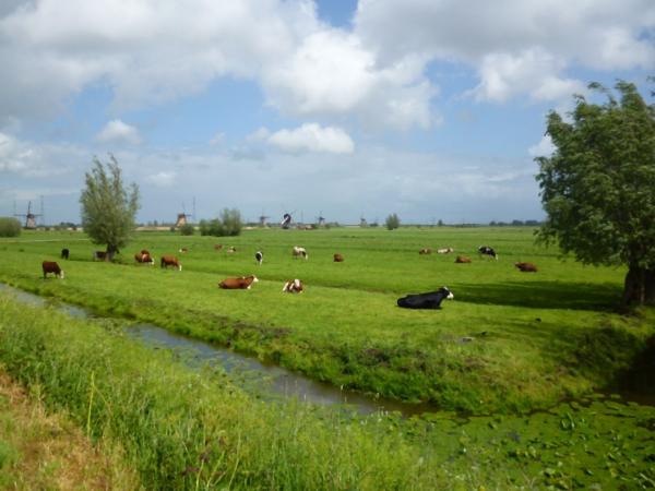 Landschaft mit Windmuehlen