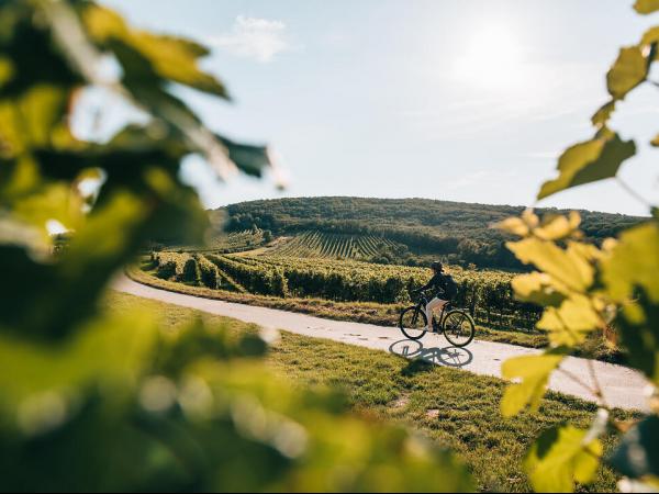 Radfahren in Mailberg