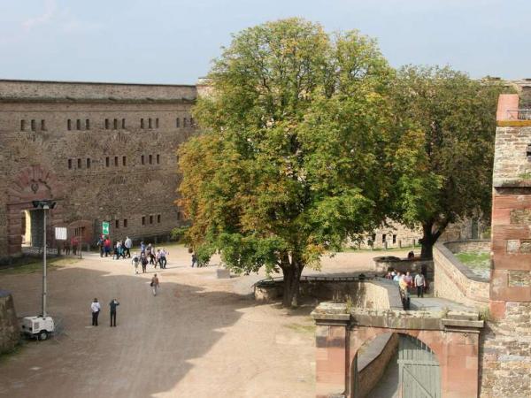 Koblenz Steinmauer