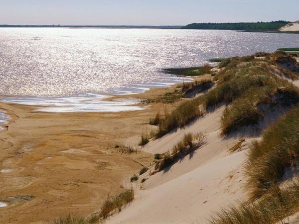 Kste im Slowinski Nationalpark